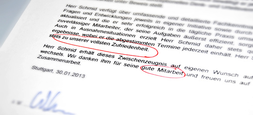 Zeugnismängel: Platz 6